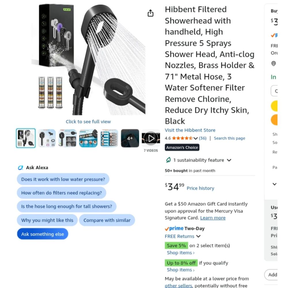 Hibbent Filtered Showerhead with handheld